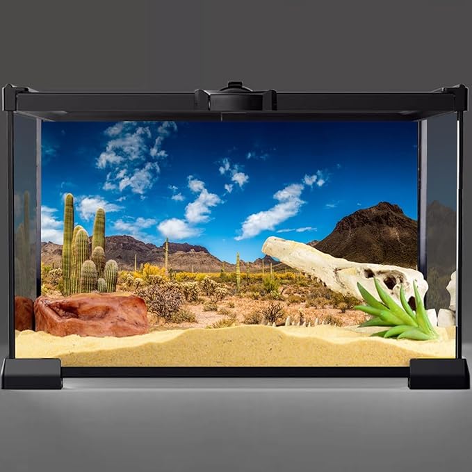 AWERT 36x20 inches Reptile Habitat Background Blue Sky Oasis Cactus Desert Terrarium Background Vinyl