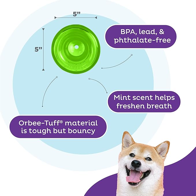 Outward Hound by Planet Dog Snoop Dog Toy – Treat‑Dispenser Puzzle Ball, Interactive Slow Feeder, Medium to Large Dogs, Bouncy & Mint-Infused, Green, 5"