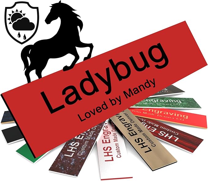Horse Stall Name Plate, 2x10 Personalized Stall Signs, UV Protected, All Weather Adhesive, Hanging, Mounting or Other, Red Plastic Black Letters - Made in USA - B14