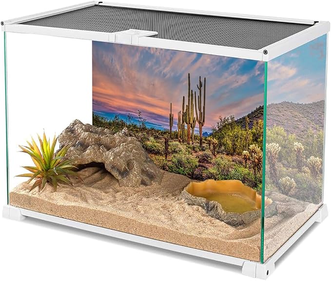 AWERT 24x12 inches Terrarium Background Blue Sky Cloud Huge Cactus Oasis Gobi Reptile Habitat Background Vinyl