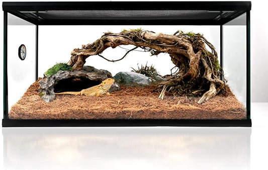 Reptile Glass Tank 20"*12"*10" Pre-Assembled Terrarium for Turtle,Hermit Crab,Bearded Dragon,Gecko,Lizard,Snake,Spider,Fish,Tarantula Enclosure with Top Screen Ventilation and Openning Door