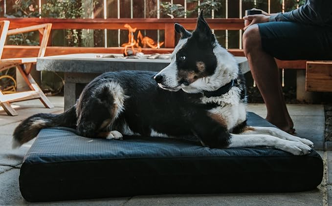 K9 Ballistics Tough Ripstop Orthopedic Rectangle Dog Bed Removable Washable Cover, Solid Orthopedic Foam for Size XL X-Large Dogs 54"x38", Blue Quartz