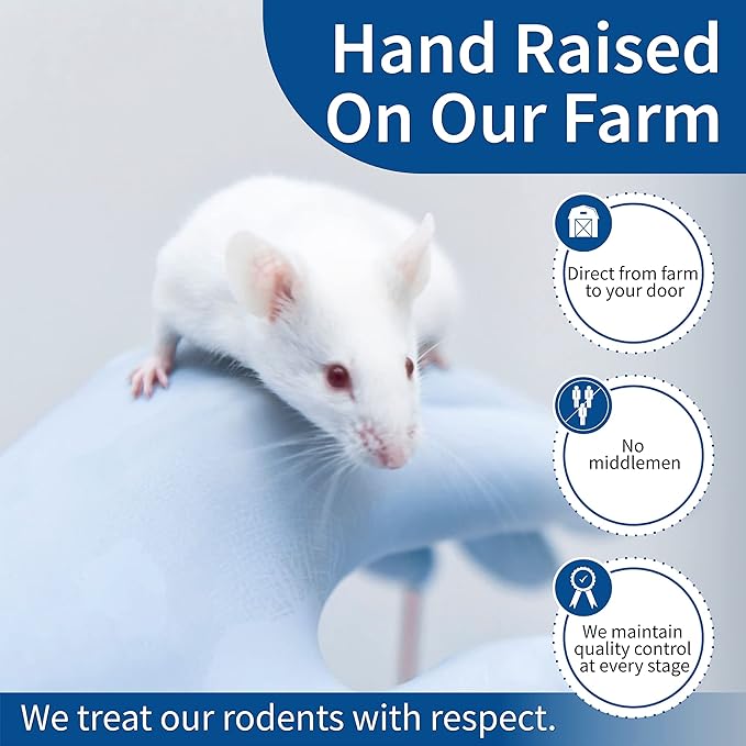 MiceDirect EST. 2003 20 Frozen Mice Combo Pack of 10 Hoppers and 10 Weanling Feeders Snake Food for Mice for Juvenile Ball Python Adult Milk Corn Snakes (1.5-2.5 in)(200 Grams Min)