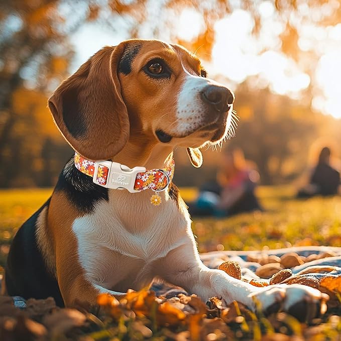 Fall Dog Collar Vintage Daisy Puppy Collar - Hippie Flower Dog Collars Light Comfortable Adjustable Pet Collars for Small Medium Large Girl Boy Dogs L