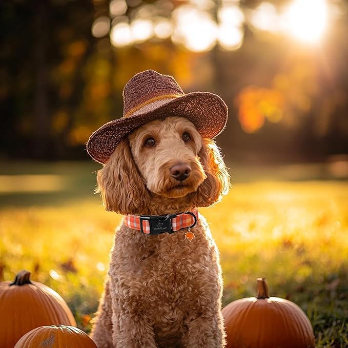 Fall Dog Collar Cute Orange Plaid Puppy Collar - Light Comfortable Adjustable Pet Collars for Small Medium Large Girl Boy Dogs S