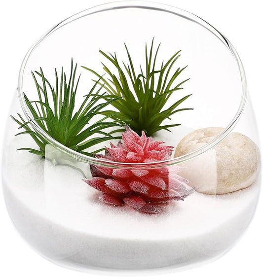 BESPORTBLE Slant Cut Glass Terrarium Bowl - Clear Glass Vase for Succulents, Air Plants, Cactus, Hydroponic Plants, Decorative Centerpiece, 4.72 X 4.72 X 3.93 Inch
