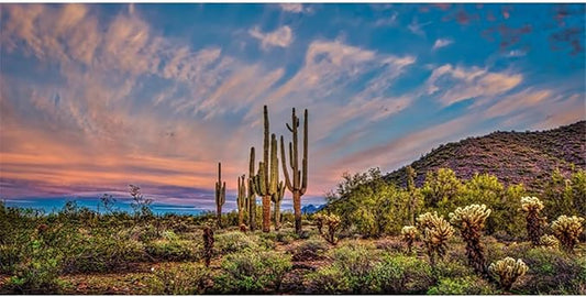 AWERT 48x20 inches Terrarium Background Blue Sky Cloud Huge Cactus Oasis Gobi Reptile Habitat Background Vinyl