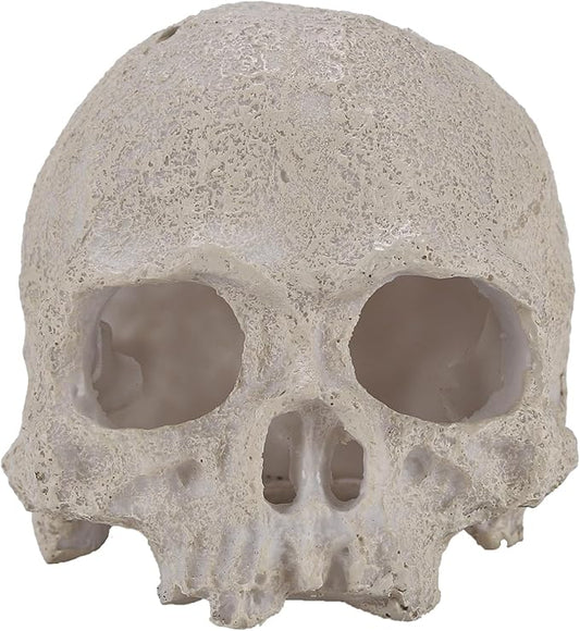 Resin Reptile Hideout for Tank Realistic Skull Decor for Terrarium White Decorative Skeleton Head Hides and Caves for Fish Ball Python Axolotl Tarantula