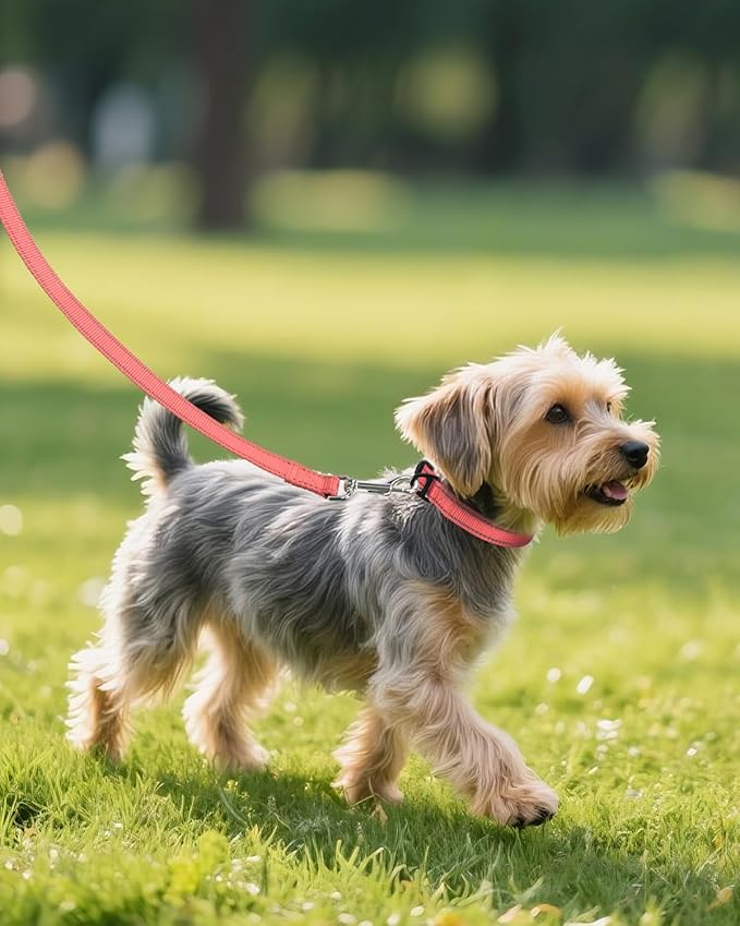 Joytale Small Dog Collar, Reflective and Adjustable Nylon Collar with Quick-Release Buckle, Lightweight No-Choke Design for Small Dogs, Pink, 3/4" Width
