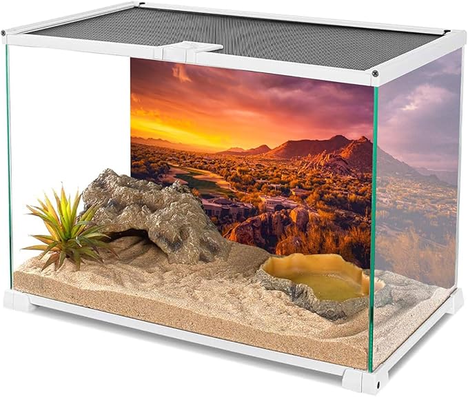 AWERT 48x20 inches Sun and Desert Terrarium Background Mountain Oasis Gobi Reptile Habitat Background Vinyl