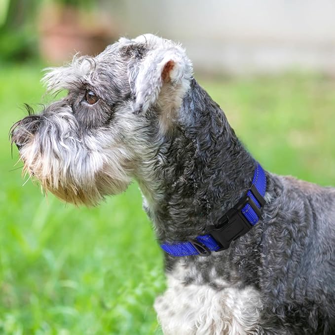 Joytale Reflective Dog Collar, Soft Neoprene Padded, Metal D-Ring, Nylon Pet Collar Adjustable for Medium Dogs, Navy Blue, M
