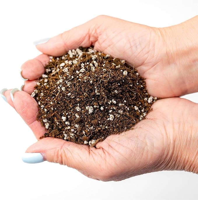 Gardenera Professional Carnivorous Plant Soil - Ready to Use for Venus Flytraps, Sundews, Pitcher Plants, Butterworts | Peat Moss, Coco Coir, Perlite - 1 Quart Bag