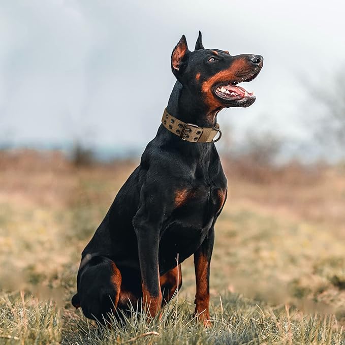 Tactical Dog Collar with Handle, Military Adjustable Heavy Duty Metal Buckle Dog Collars Soft Nylon Training Collar for Medium Large Dogs (Brown, Medium)