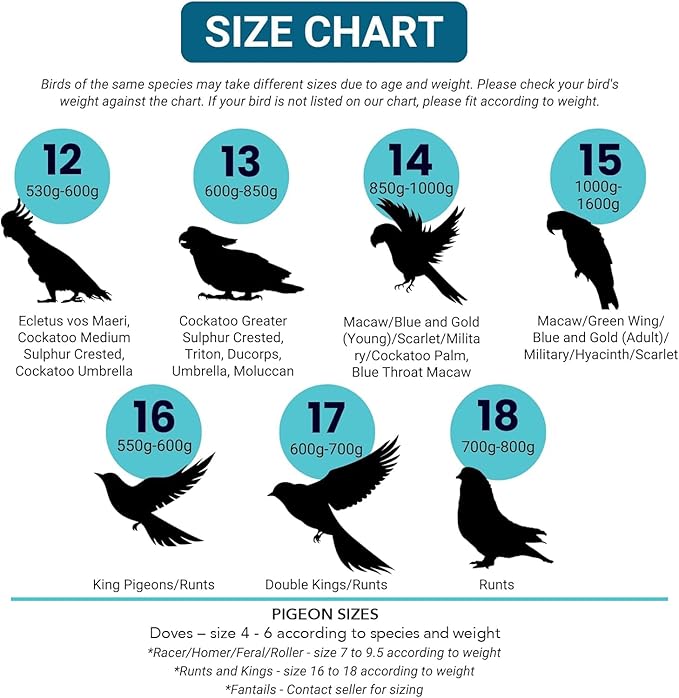 Bev's Bird Boutique Regular Flyper Adjustable Bird Diaper | Reusable, Washable Cloth | Comfort Fit for Parrot, Cockatiels, & Other Small Birds | Fashionable Avian Accessories, Pirate, Size 7.5