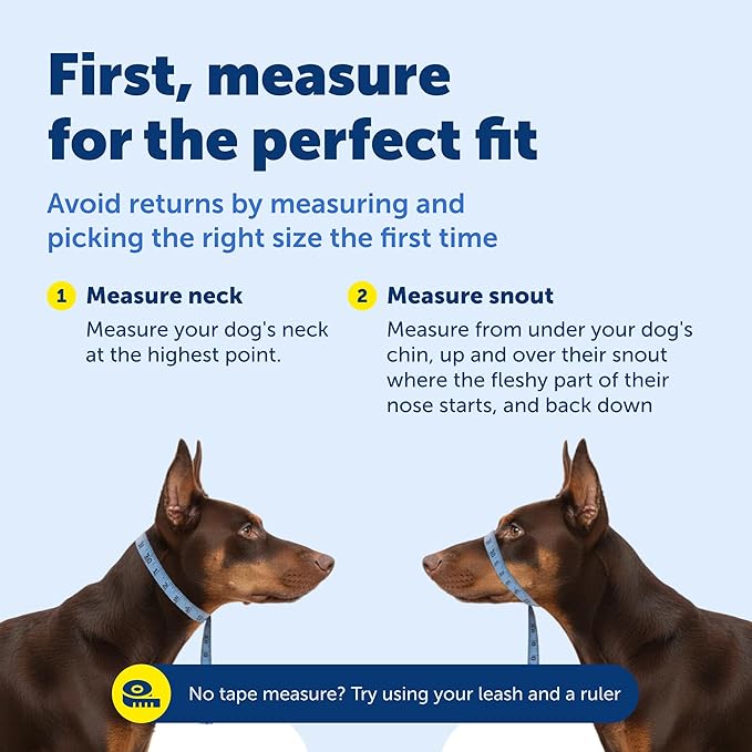 PetSafe Gentle Leader Headcollar No-Pull Dog Collar - Helps Improve Walks - Durable Nylon Construction - Padded Nose Loop - Adjustable Fit - Comfort Walking Halter - Small, Black