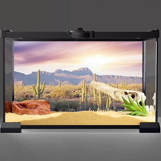 AWERT Reptile Habitat Background Blue Sky Oasis Mountain Cactus Sun and Desert Terrarium Background 72x16 inches