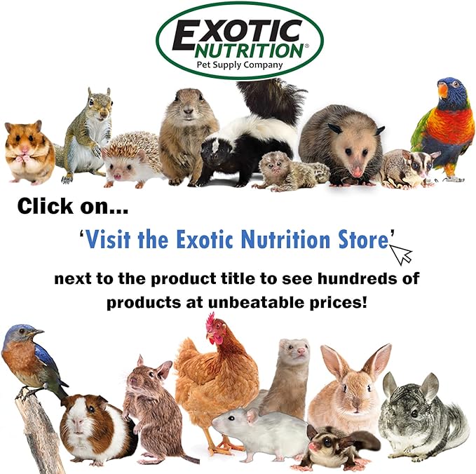 Exotic Nutrition Pasture Plus+ Dandelion Delicacy - Healthy Natural High-Fiber Dried Flower Treat - Guinea Pigs, Rabbits, Chinchillas, Prairie Dogs, Degus, Hamsters, Gerbils & Other Small Pets