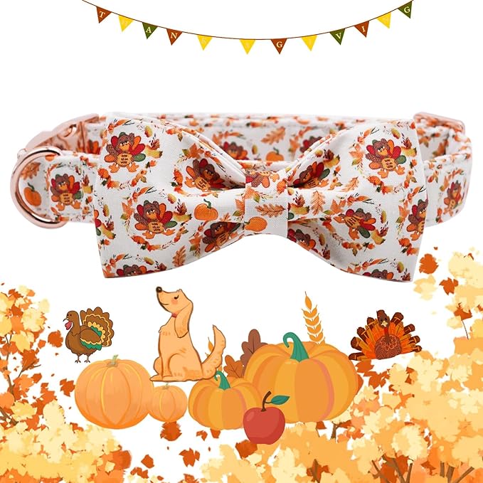 Dog Collar - Thanksgiving Turkey Dog Collar Gift Soft Bow Collar Adjustable Metal Buckle Pet Collar for Medium Dogs