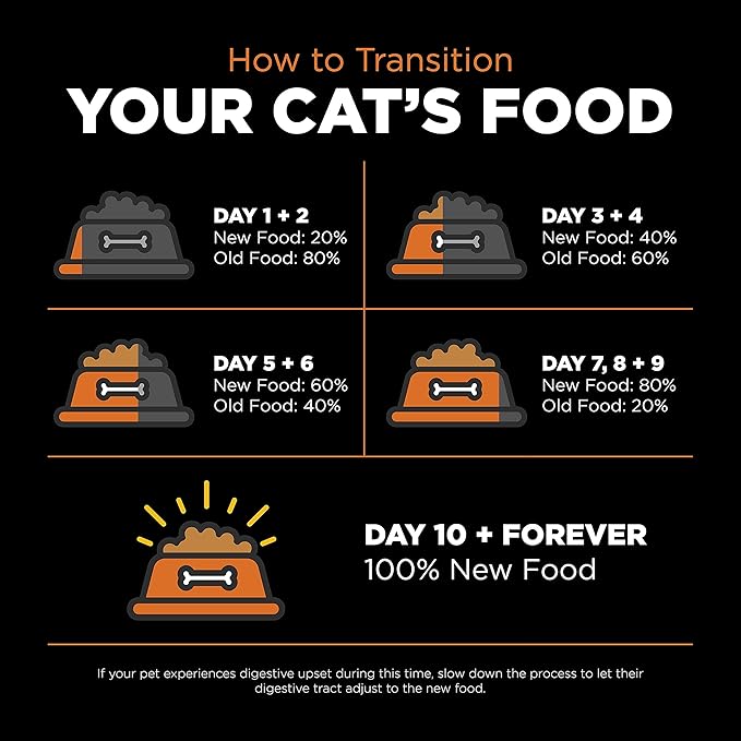 Go! Solutions Skin + Coat Care, Grain-Free Dry Cat Food, Salmon Recipe, 3 lb Bag