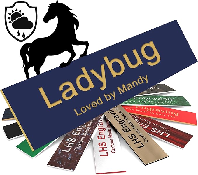 Personalized Horse Stall Name Plates, 2x10 Horse Stall Signs with Adhesive, All Weather UV Protected, Navy Blue Plastic with Gold Letters - Made in USA - B10