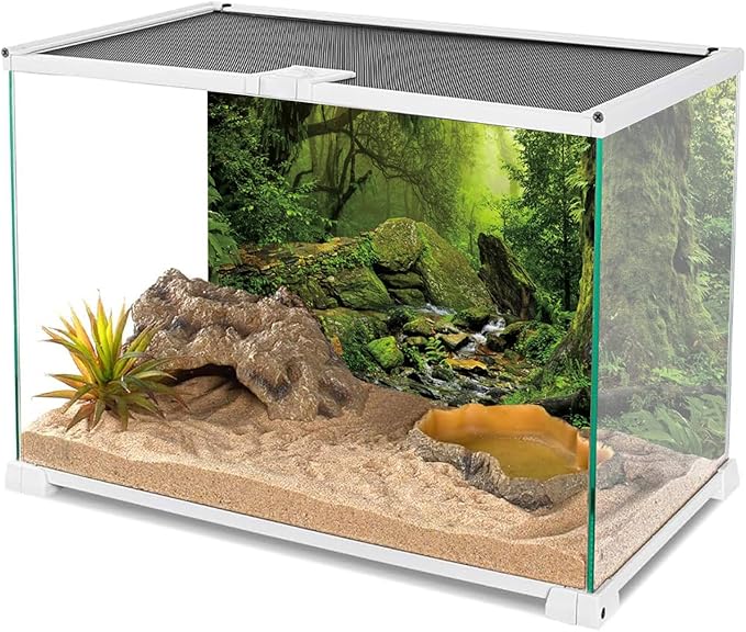 AWERT Tropical Forest Terrarium Background Stream Green Huge Tree Reptile Habitat Background Foggy Rainforest Aquarium Background 24x16 inches Durable Polyester Background