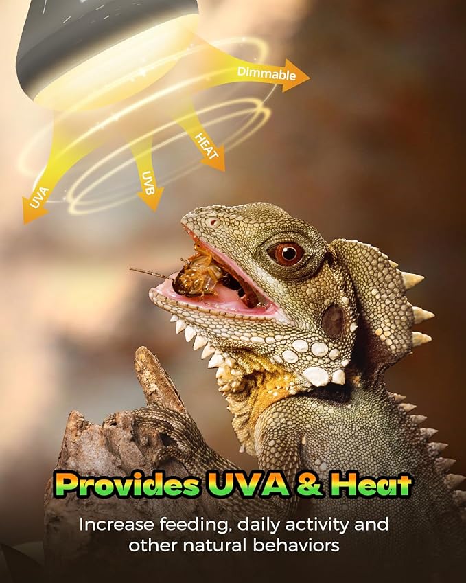 Reptile Heat Lamp, Simulate Natural Sunlight Heat Light Bulbs 2 Pack 50W Amphibians Basking Heat Lamp Bulbs for Reptiles, Bearded Dragon, Lizard, Turtle, Chicken