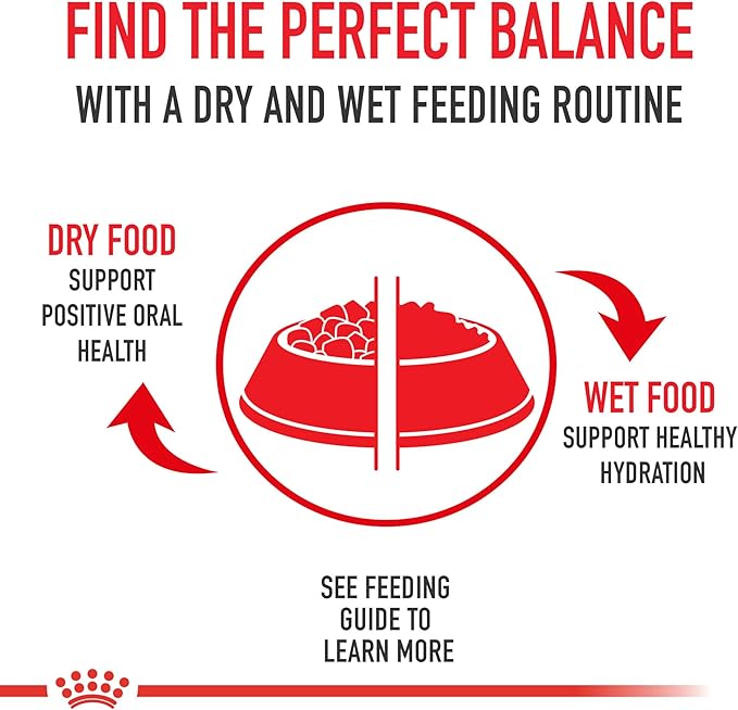 Royal Canin Feline Health Nutrition Kitten Loaf in Sauce Canned Cat Food, 5.1 oz can (24-count)