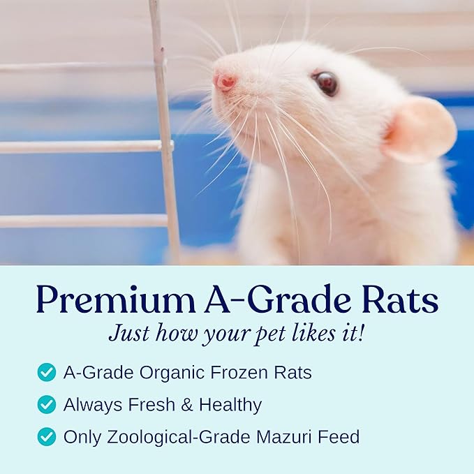 Frozen Large Adult Feeder Mice Food for Adult Ball Pythons Juvenile Red Tale Boa Monitors Lizards (10 Count)
