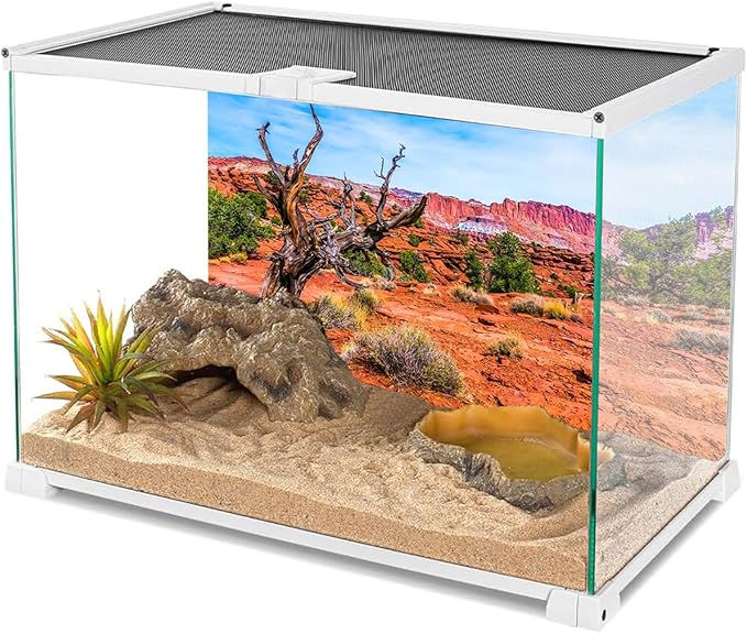 AWERT 30x18 inches Reptile Habitat Background Blue Sky Oasis Orange Desert Terrarium Background
