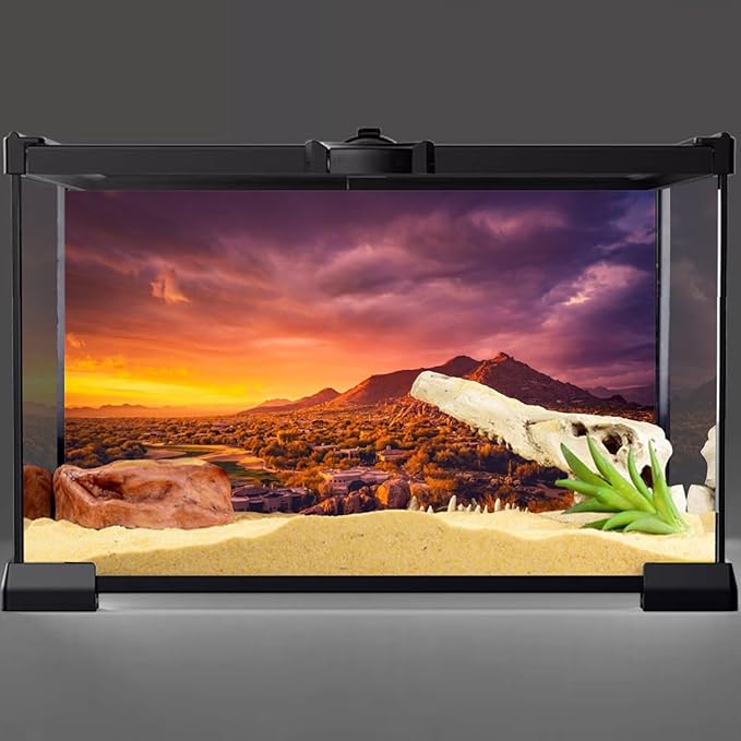 AWERT 24x16 inches Sun and Desert Terrarium Background Mountain Oasis Gobi Reptile Habitat Background Vinyl