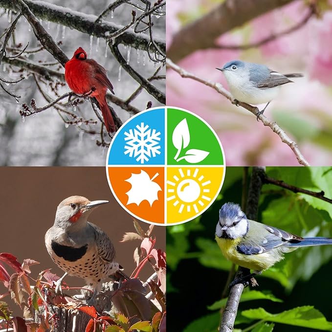 Blue Seal Woodpecker Suet Treat Bars for Wild Birds - No Mess Suet Feed, Food for Woodpeckers, Cardinals, Sparrows & More - 8 oz Bird Seed Cakes (Pack of 12)