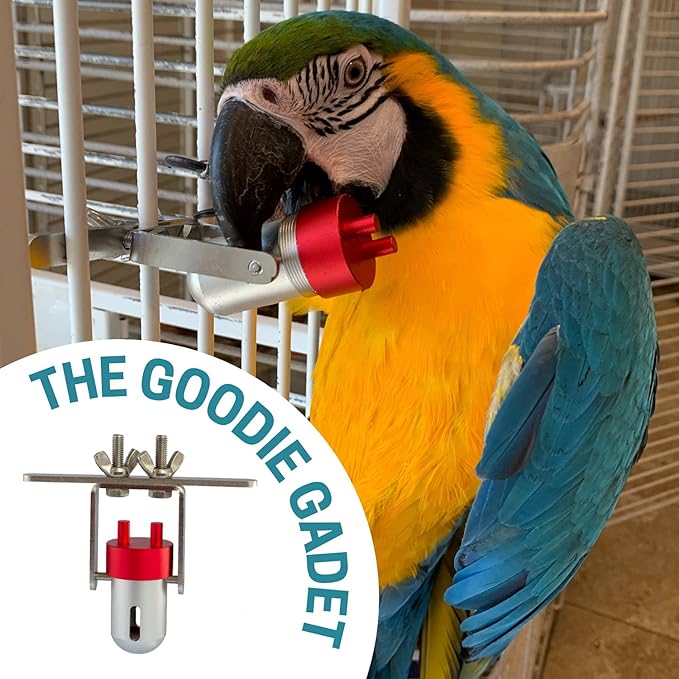 Goodie Gadget Foraging Bird Toy | Treat Dispenser | Promotes Natural Foraging Behavior | Bird Cage Accessories for Medium to Extra Large Birds | Colorful Toys for Parrots, Cockatiel, Greys, Parakeets