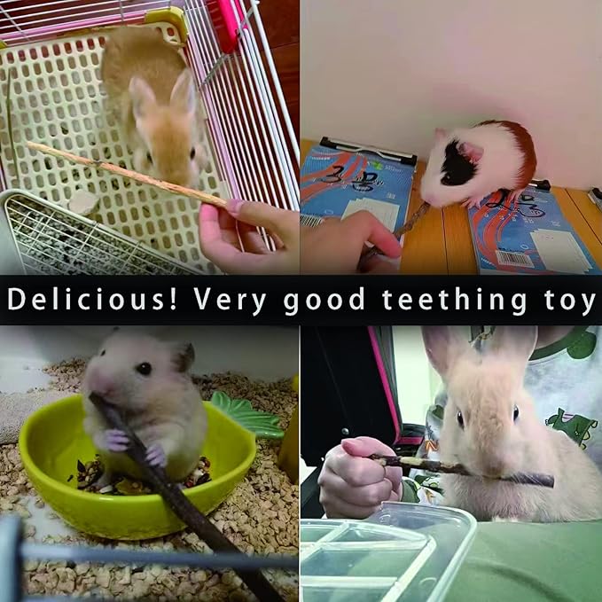 Natural Apple Sticks, 500g Treats Food for Small Animals, Chew Toys for Chinchilla Guinea Pigs Rabbit Squirrel Hamster Bunny