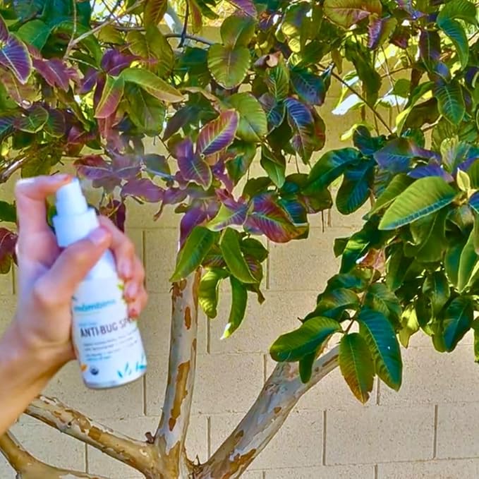 Mambino Organics Outdoor Set - Anti-Bug Mosquito Repellent Spray, Soothing Stick – All Natural, DEET-Free, Citronella Insect Repellant – 4 Fluid Ounces