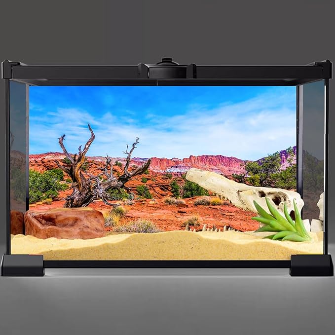 AWERT 24x16 inches Reptile Habitat Background Blue Sky Oasis Orange Desert Terrarium Background