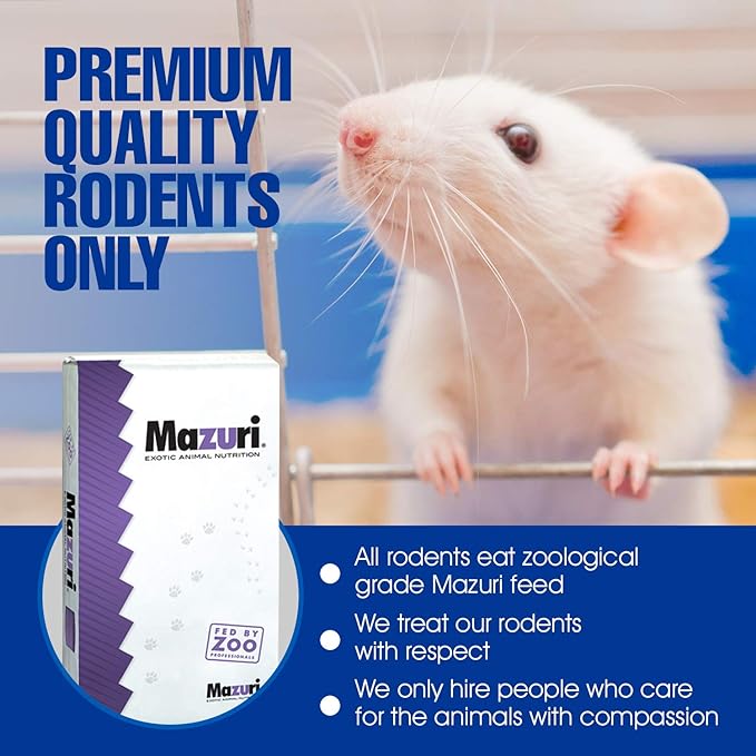 MiceDirect EST. 2003 75 Frozen Mice Small Fuzzie Feeders Snake Food for Juvenile Hognose Corn Milk (.5-1 in) (225 Grams Min)
