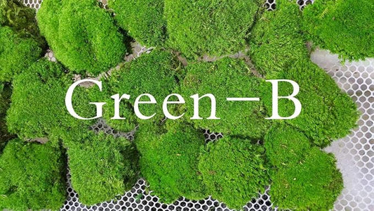 Preserved Pole Moss Pillow Bun Cushion Natural Green Decorative Real Natural Green DIY Kit Terrariums Gardenning Art Wall Decor Florist Decor Easter Table Decor Wedding(12.0 sq.ft., Green-B)