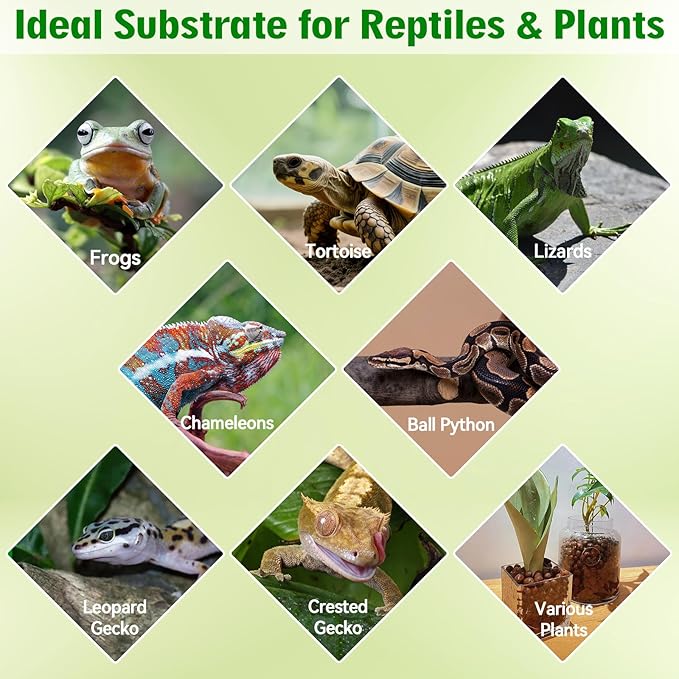 Halatool Reptile Substrate 2QT Clay Pebbles Terrarium Bedding for Reptiles Organic Clay Balls Bioactive Drainage Layer for Terrariums & Vivariums Leopard Gecko Tortoise Frog Lizard Ball Python