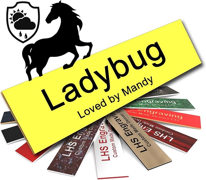 Horse Stall Name Plate, 2x10 Personalized Stall Signs, UV Protected, All Weather Adhesive, Hanging, Mounting or Other, Yellow Plastic Black Letters - Made in USA - B4