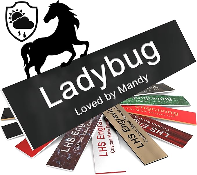 Personalized Horse Stall Name Plates, 2x10 Horse Stall Signs with Adhesive, All Weather UV Protected, Black Plastic White Letters - Made in USA - B2