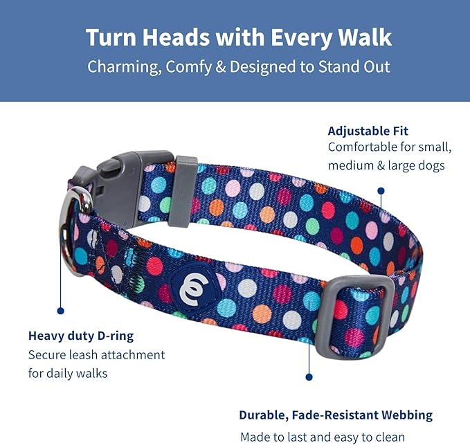 Blueberry Pet Essentials Rainbow Polka Dots Adjustable Dog Collar, Large, Neck 18"-26"