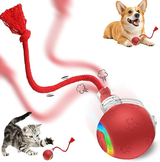 FUNNYDUCK Speed 2.0 Tail Interactive Cat Toys for Indoor Cats – Smart Motion-Activated Rolling Ball with Tail, Chirping Sounds, and USB Rechargeable Design for Enrichment & Exercise