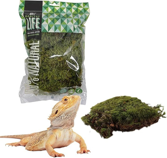The Habitat Life - Natural Mood Moss - for Reptiles, Amphibians & Invertebrates Terrariums - Moisture-Retaining - Humidity Control - Soft Bedding - Dye-Free & Safe - Small - 1 Pack
