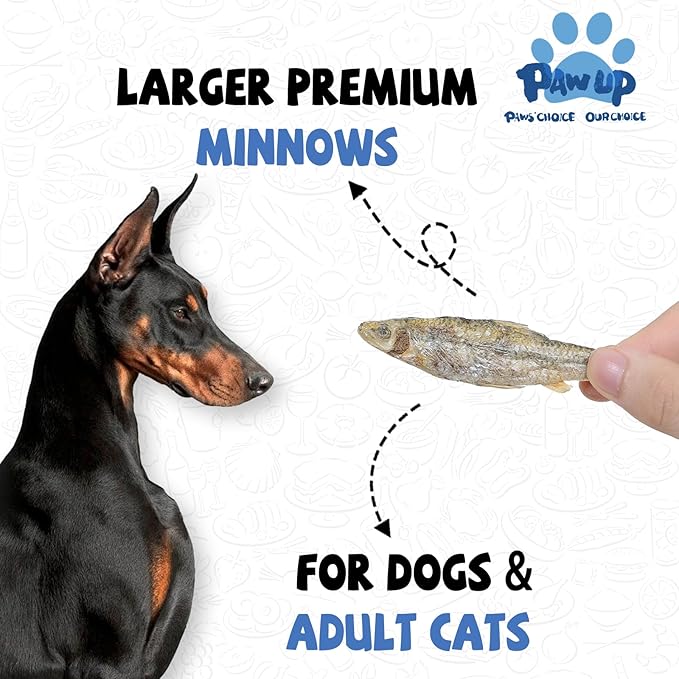 PAWUP Freeze Dried Minnows Dogs Treats – 100% Raw Single-Ingredient Pet Fish Snacks – Rich in Omega-3, Grain-Free – Healthy Training Rewards & Meal Toppers, 2.8 oz