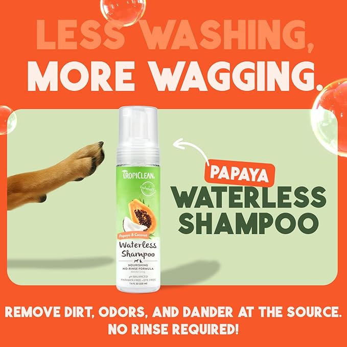 TropiClean No Rinse Waterless Dog Shampoo | Detangling & Deodorizing Dry Shampoo for Smelly Pets | Moisturizes Dry Skin | USA Made | Papaya Scent | 7.4oz