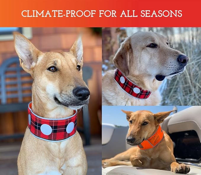 SPOT THE DOG! Reflective Dog Collar - Adjustable Pet Collars, Safe, Durable, Comfortable Dog Walking Accessories for Large Dog, Hunting Dog, Puppy, Boy, Girl Dog Collars (Blaze Orange, Red Plaid, XL)