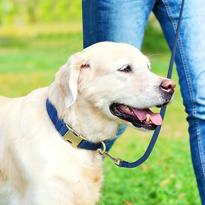 Genuine Leather Dog Collar - Adjustable Pet Collar with Quick Release Metal Buckle, Soft Skin Friendly Real Leather Collar for Small, Medium, Large Dogs (Blue Collar + Rope, S：Fit 8-16" Neck)