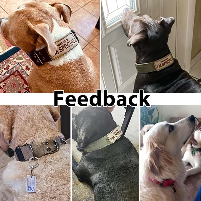 Tactical Dog Collar Military Adjustable Dog Collars Soft Nylon Training Collar with Patch Heavy Duty Metal Buckle Collars for Medium Large Dogs (Green, M)