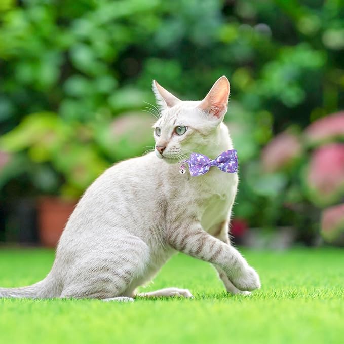 SCENEREAL Cat Collar with Bells, 2 Pcs Breakaway Cat Collars with Adustable Bowtie, Safety Kitten Collar for Boy Girl Cats Puppy, Cute Spring Summer Butterfly & Avocado Pet Collar, Green & Purple