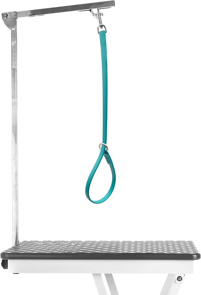 Jelly Pet Grooming Loop Slip Style (3/8" x 25", Teal) | Made in The USA